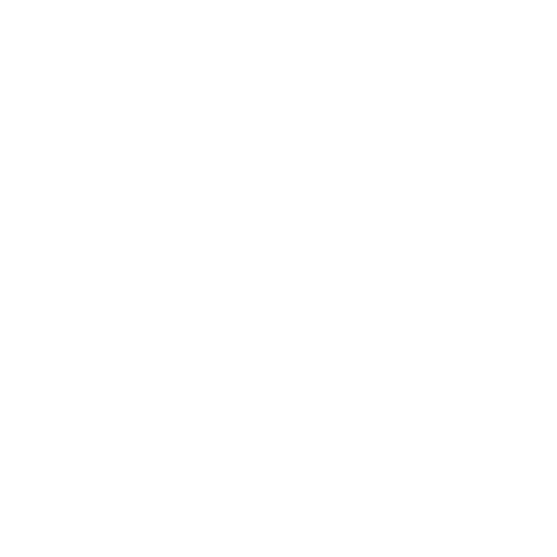 skillhub logo horizontal (2)